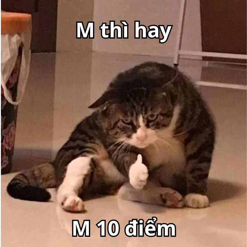 meme m hay rồi m 10 điểm