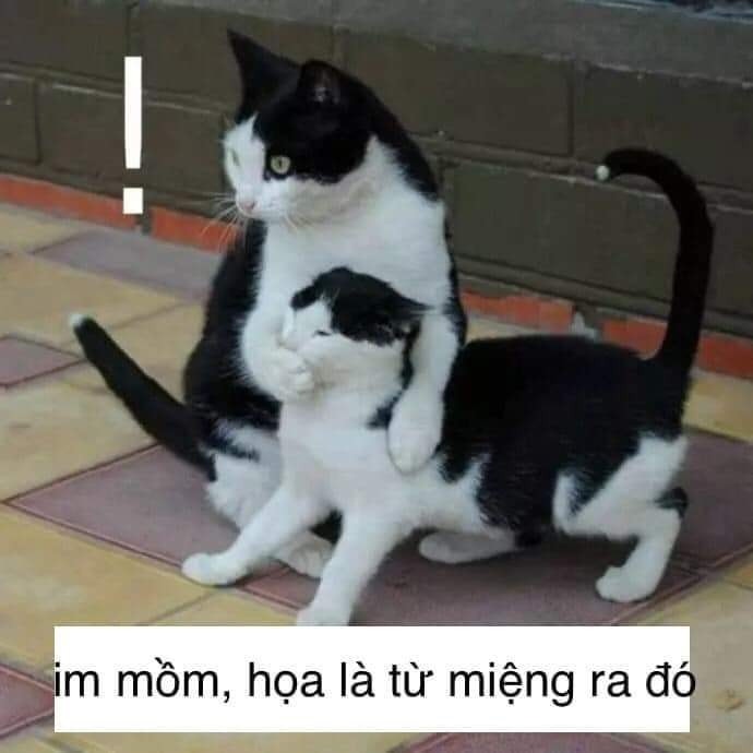 meme mày câm mồm đi