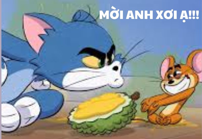 meme mèo tom chuột jerry đẹp