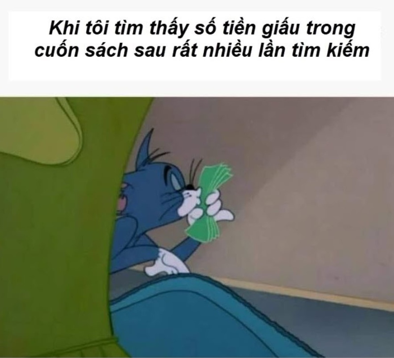 meme mèo tom đẹp