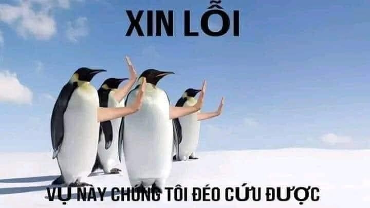 meme nghỉ cứu