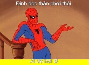 meme nhện siêu hài