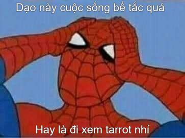 meme nhện vui vẻ