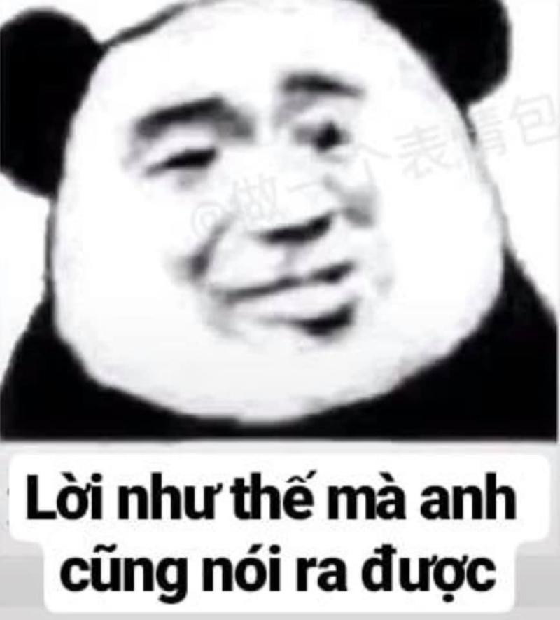 meme panda bất lực