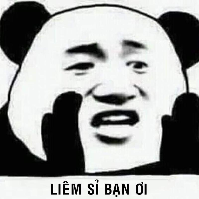 meme panda liêm sỉ bạn ơi