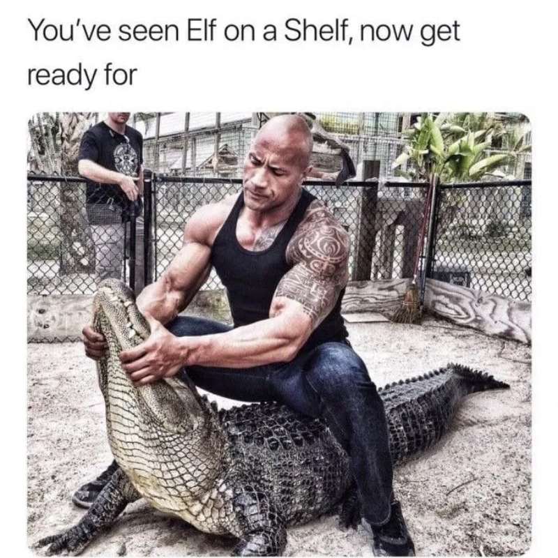 Meme The Rock và con cá sấu