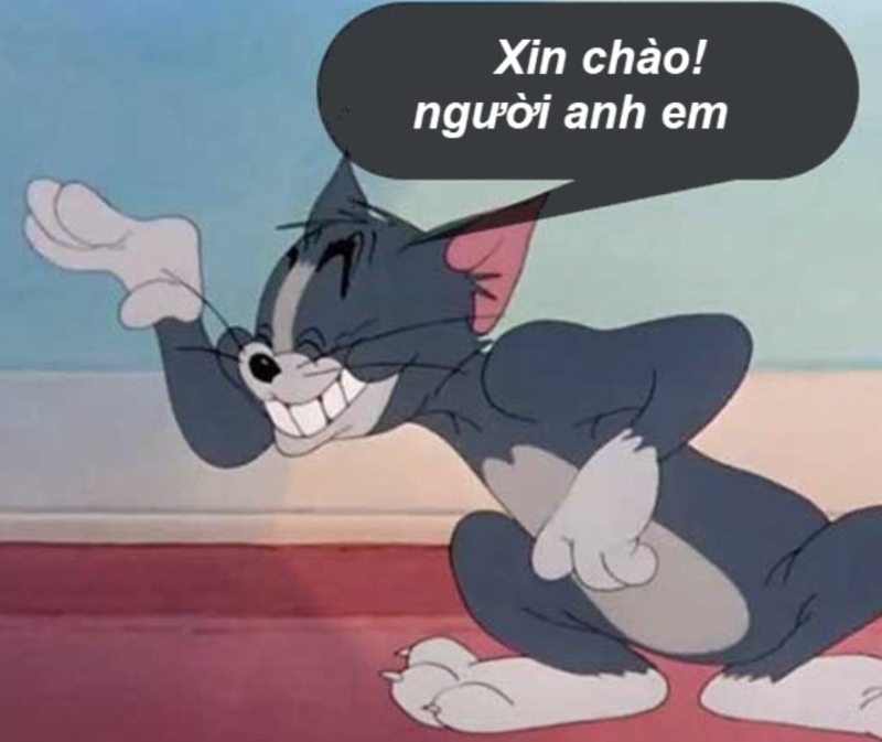 meme tom jerry đẹp