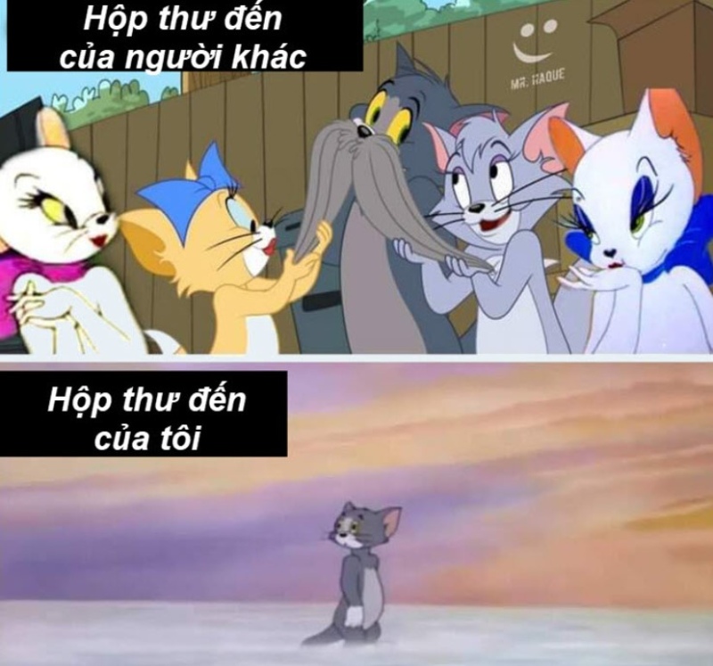 meme tom và jerry