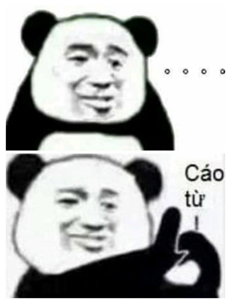 meme trung quốc gấu trúc