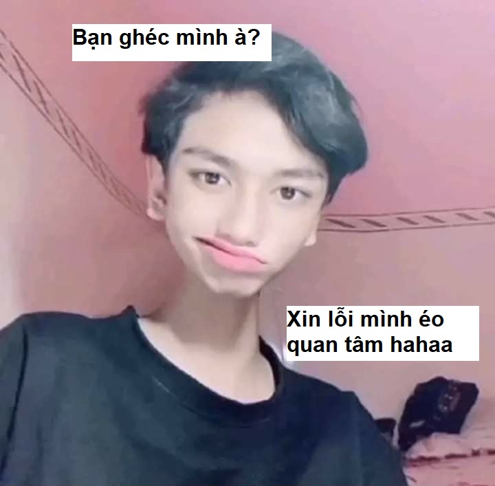 Meme xin lỗi cà khịa mạnh