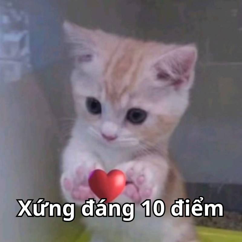 Meme xứng đáng 10 điểm