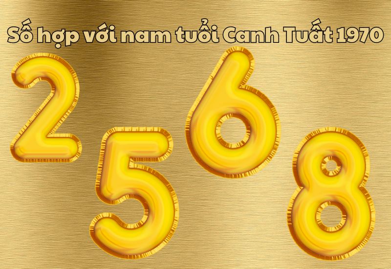 nam Canh Tuất 1970 hợp số nào