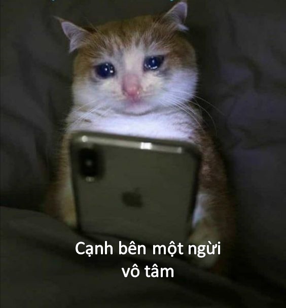 Nguồn gốc của Meme