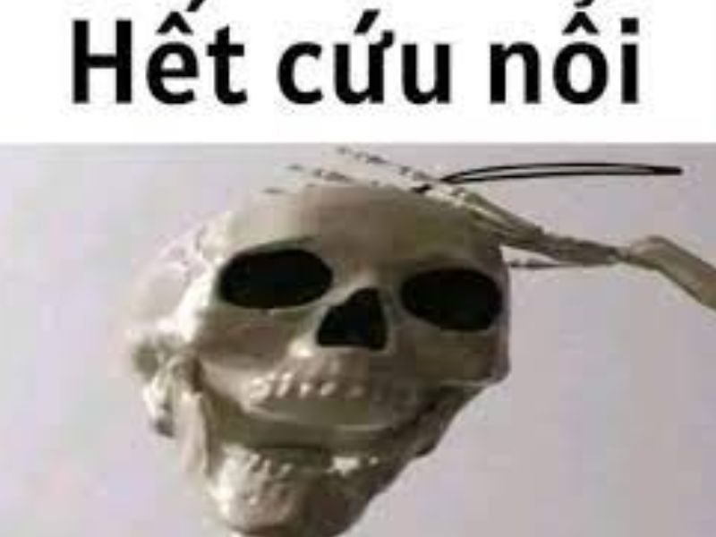 nguồn gốc meme hết cứu