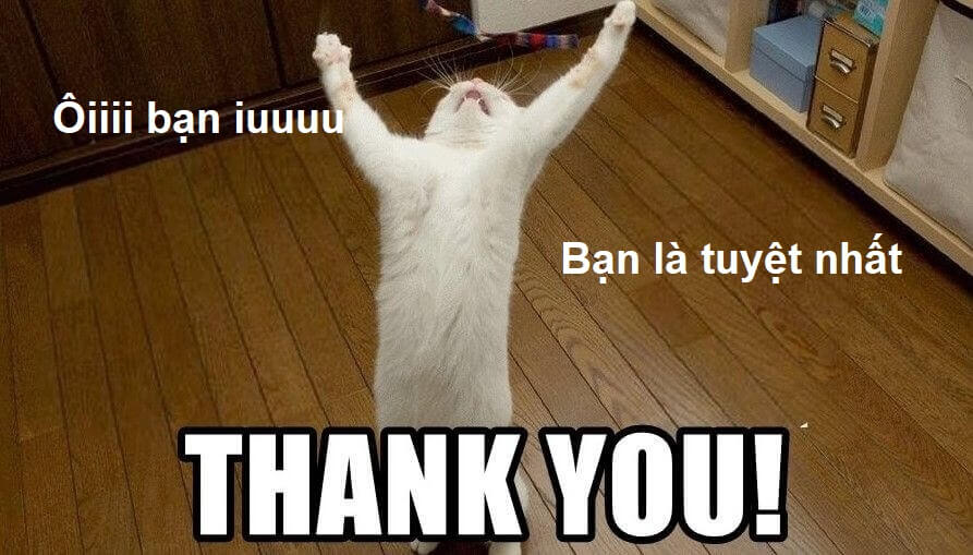 Thank you bạn iu bạn tuyệt nhất