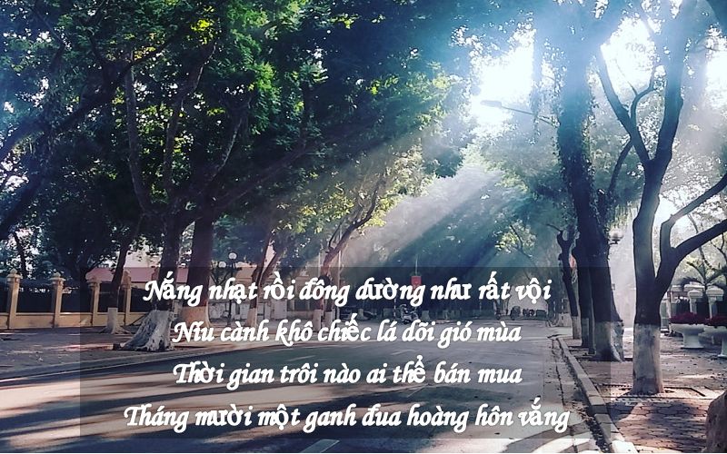 Thơ tháng 11 hài hước