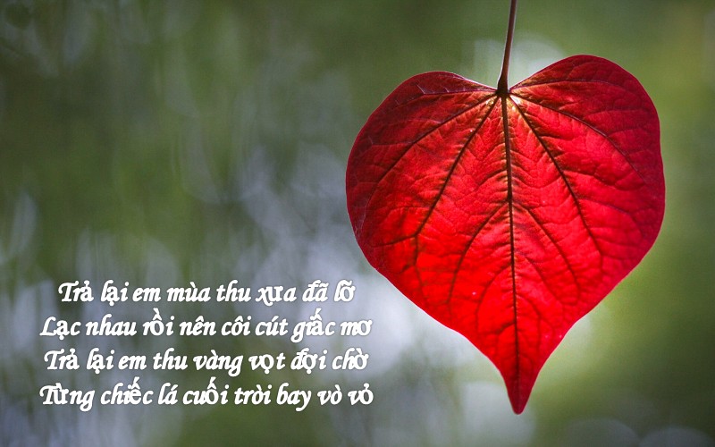 Thơ về mùa thu tình yêu