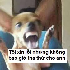 Tôi xin lỗi nhưng sẽ không tha thứ cho anh