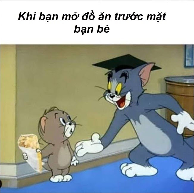 tom meme đẹp