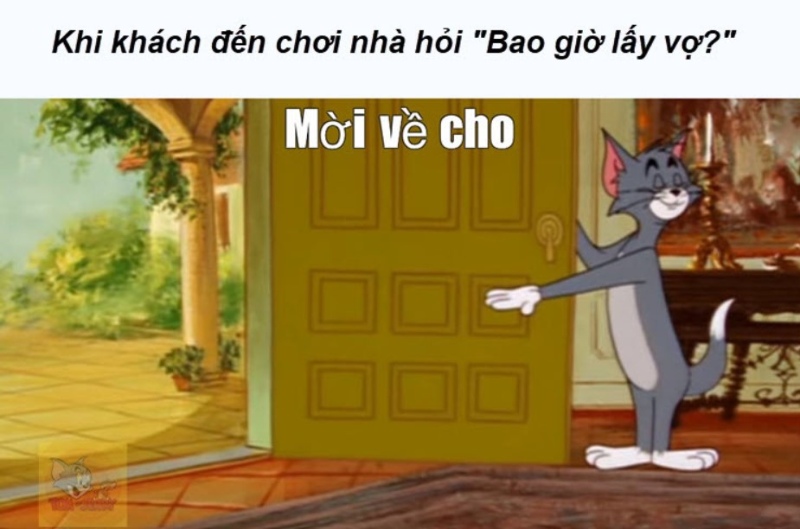 tom meme hài hước