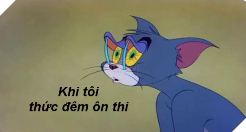 tom và jerry meme