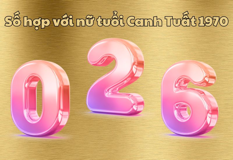 tuổi Canh Tuất hợp số mấy