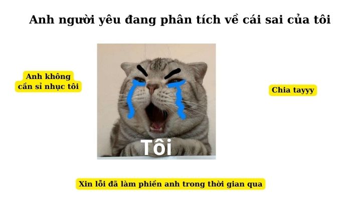 Xin lỗi đã làm phiền anh trong thời gian qua