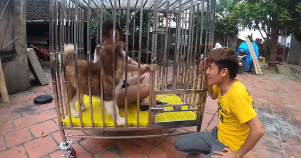 Nhốt em gái vào chuồng chó, con trai bà Tân Vlog lại gây nên những tranh cãi không hồi kết