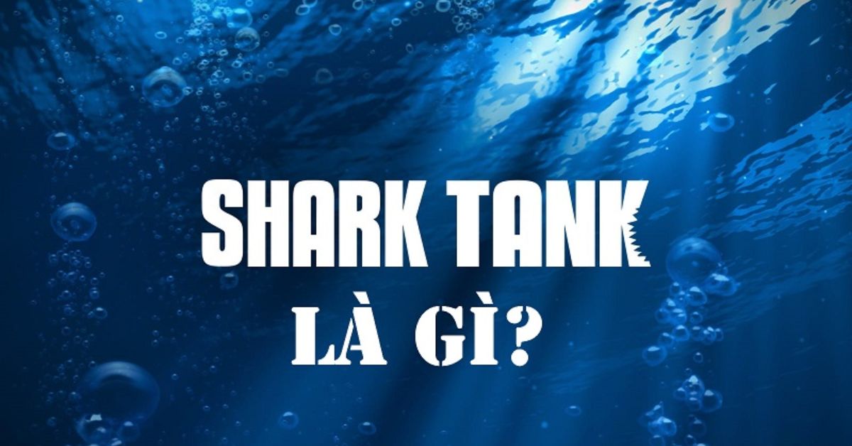 Shark là gì? Shark Tank là gì? Cách đăng ký Shark Tank Việt Nam?