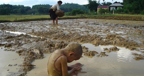 Bức ảnh con chờ mẹ làm đồng lay động cộng đồng mạng