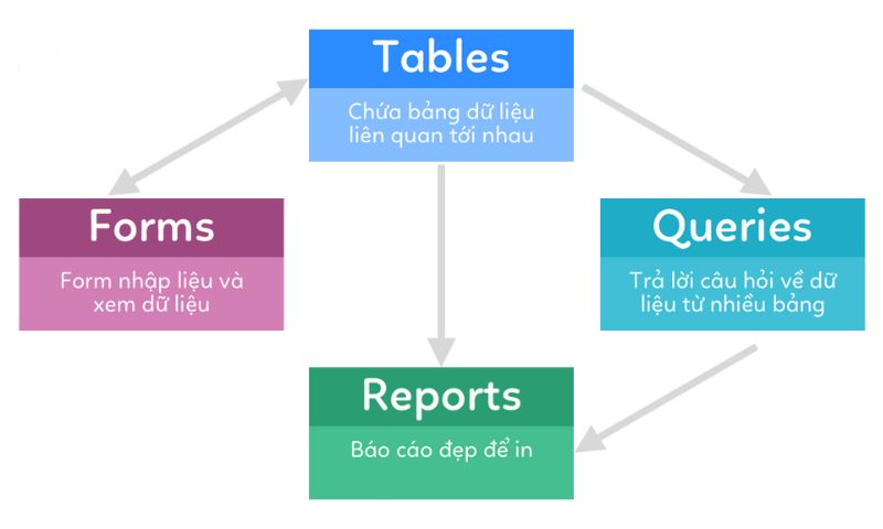 Các nhóm đối tượng khi sử dụng Microsoft Access