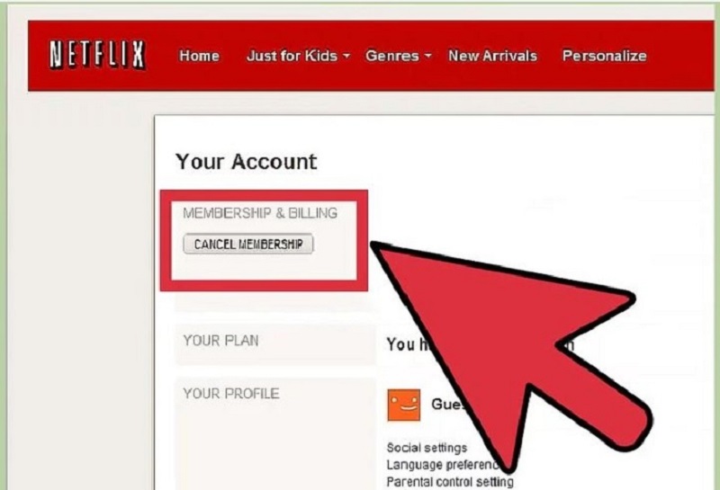 Netflix có thể bị hủy ngay trên TV