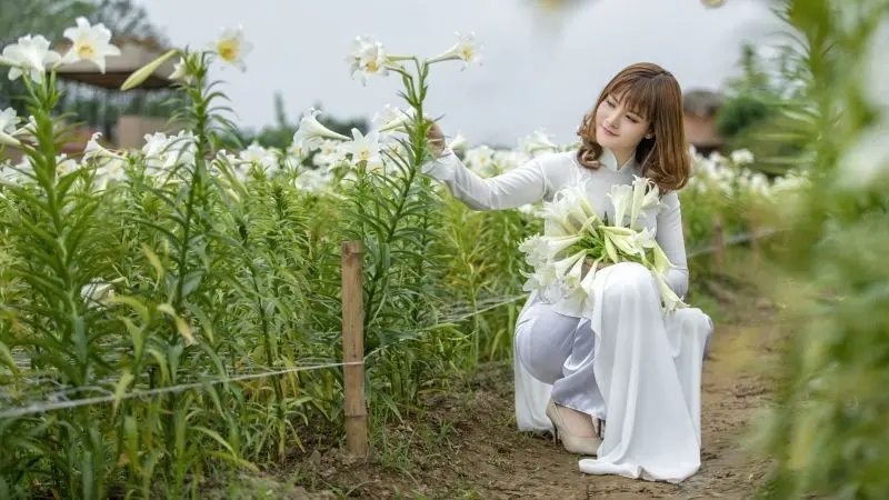 Cô gái xinh đẹp Ao Dai