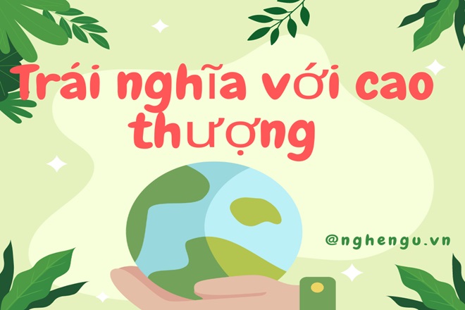 trai nghia voi cao thuong