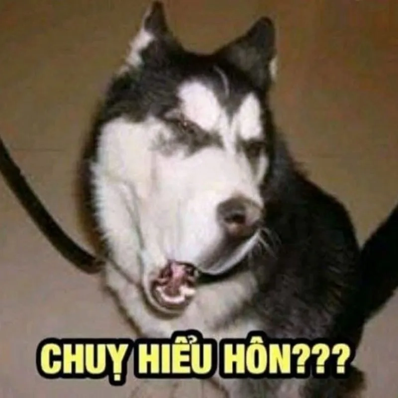 Cười và cười với siêu bùn và meme đầy đặn