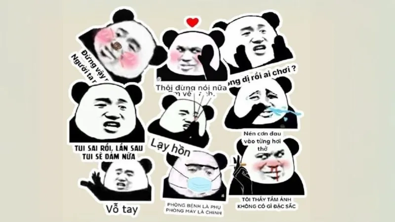 Không thể giúp cười với khuôn mặt troll panda vui nhộn