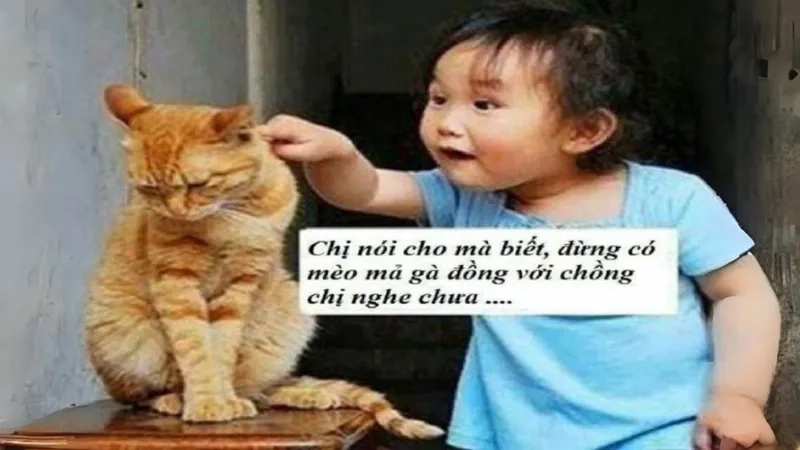 Siêu dễ thương với biểu tượng dễ thương meme dễ thương