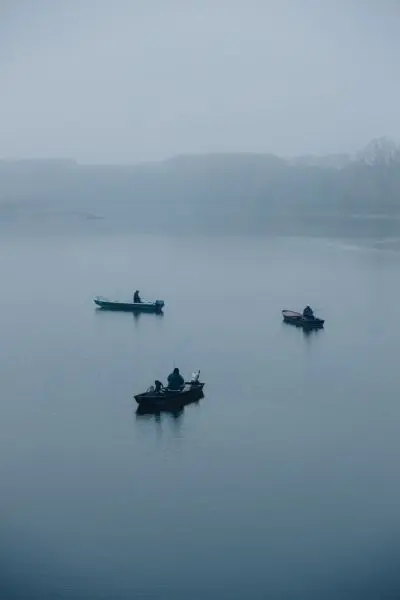 Thả trong không gian yên bình tại màn sương.