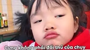 Meme rất phổ biến trên mạng xã hội