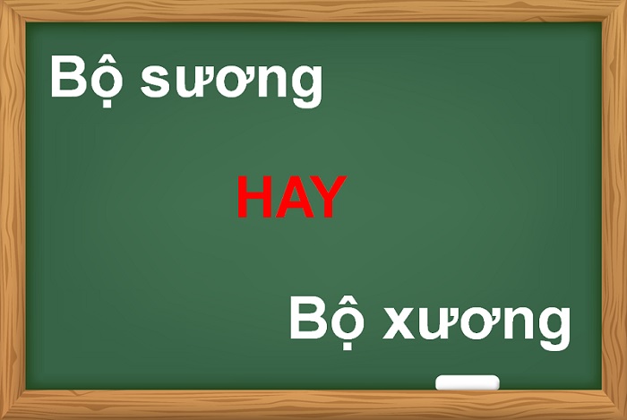 Bộ sương hay bộ xương