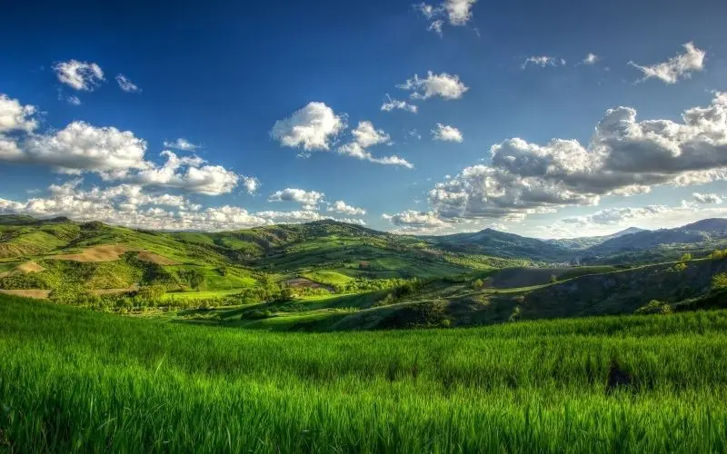 Phong cảnh Green Hill có màu xanh quanh năm.