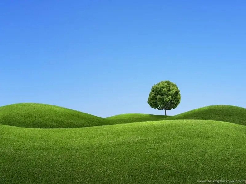 Blue Grass Hills, phong cảnh đẹp cho tâm hồn.