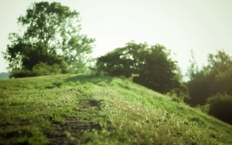 Blue Grass Hills, phong cảnh tuyệt vời để đi bộ.