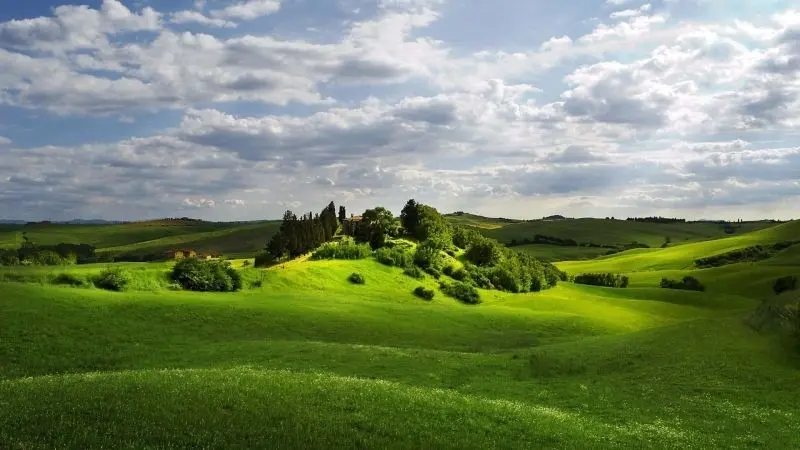 Blue Grass Hills, phong cảnh hòa quyện với thiên nhiên.