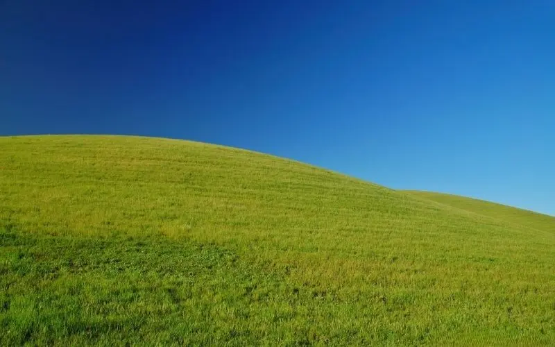 Blue Grass Hills, hòa nhập với thiên nhiên.