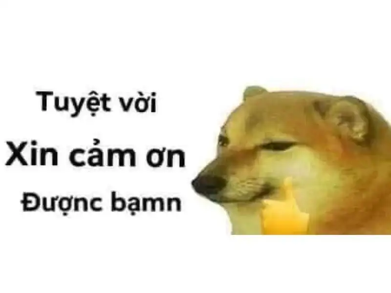 Cảm ơn bạn, cảm ơn bạn