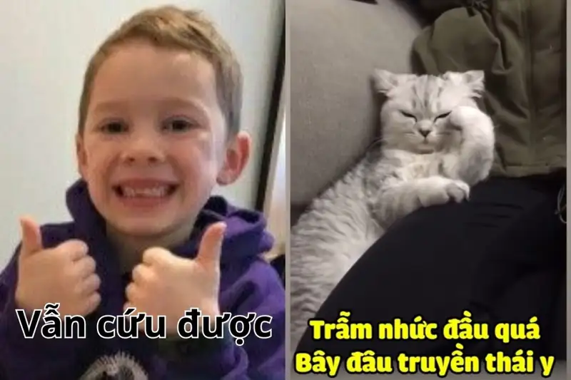 Không lưu meme biểu cảm sáng tạo