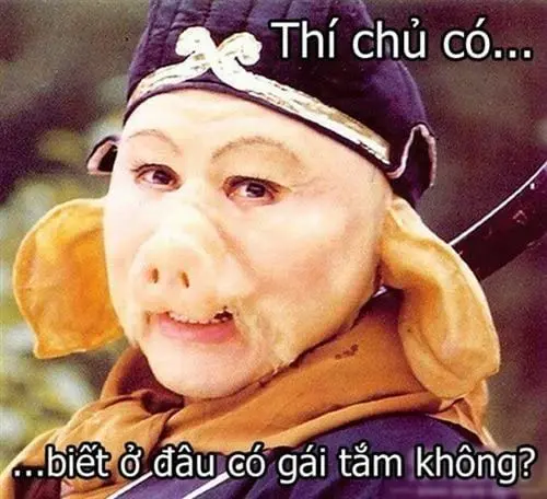 Meme vui nhộn giúp bạn thư giãn