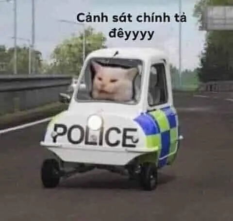 Meme Cat Police Lái xe vui nhộn