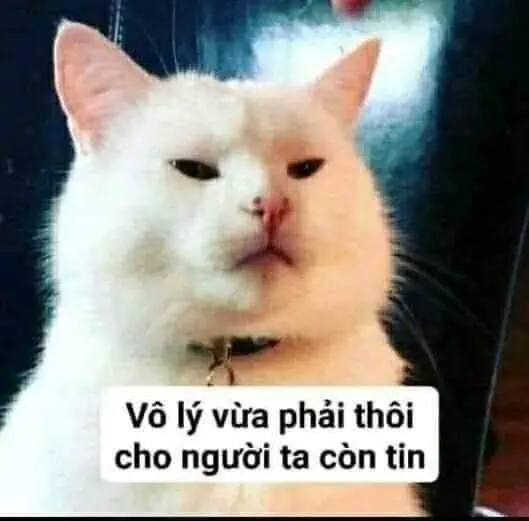 Meme siêu hài hước giúp bạn cười bất cứ khi nào bạn cảm thấy không vui